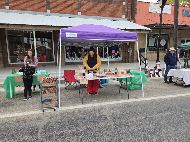 Christmas in Dekalb 2025 Vendors